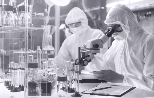 【ミックス 】MissediCollection ミスエディコレクション ミスエディコレクション(Miss edi Collection）｜小泉アパレル公式通販