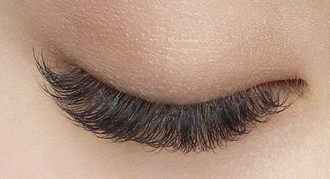 プラチナセーブル®｜まつ毛エクステ商材のMiss eye d'or | HISTORIC