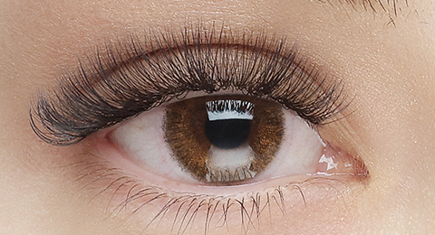 3D-layer_open.jpg?timestamp=