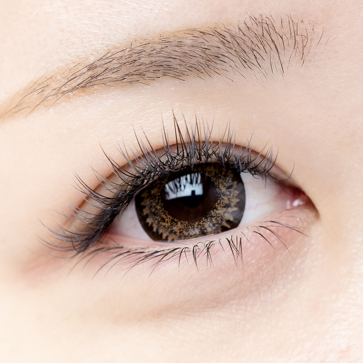 lush pro まつ毛エクステ lush pro まつ毛エクステ まつ毛・つけまつ毛用品