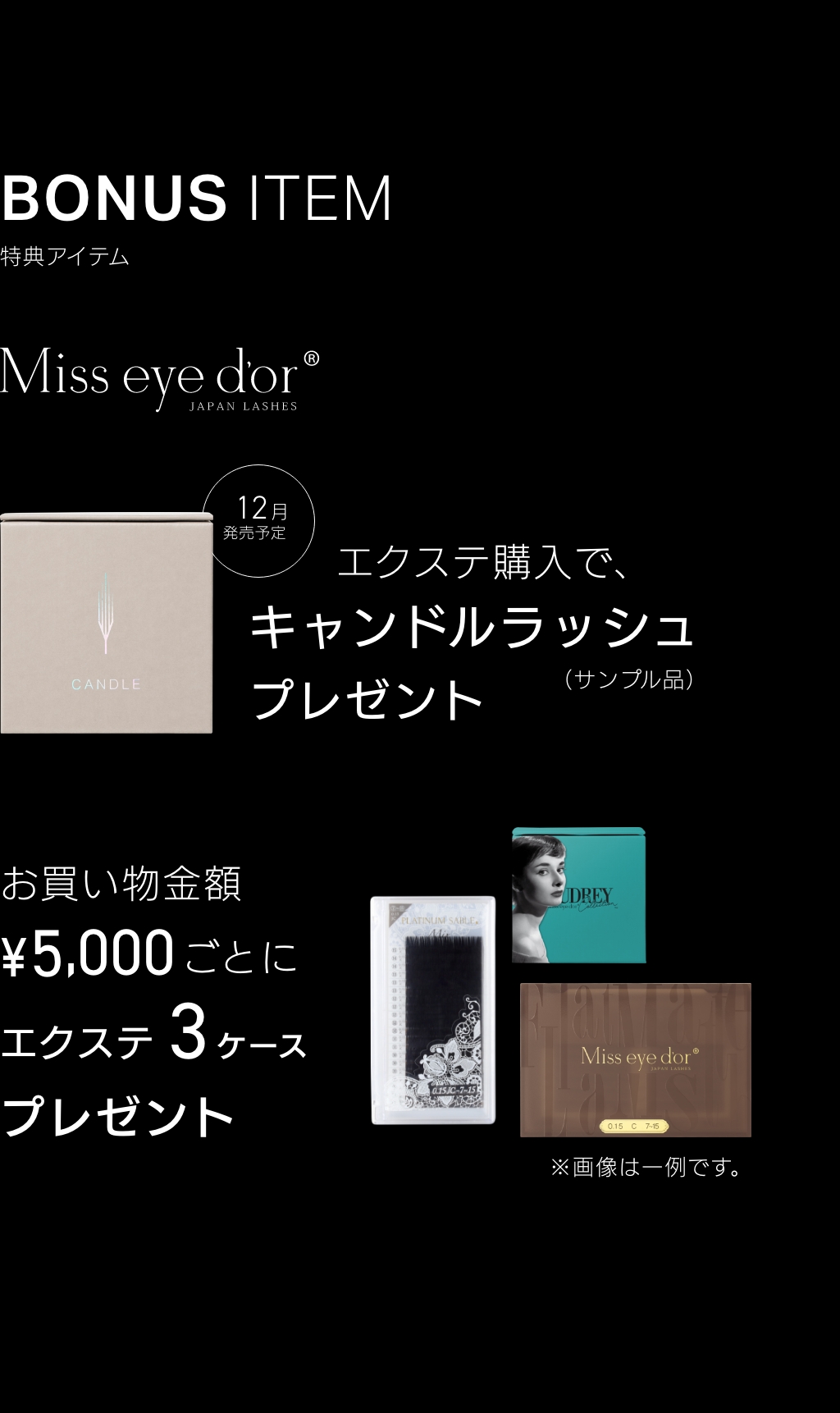 エグランティエリッシュ5点一式❤️ 1月5日迄お値下げ❤️新品 ブラックフライデー】最大70%OFFの特別セールを開催!今年いちばん“買い