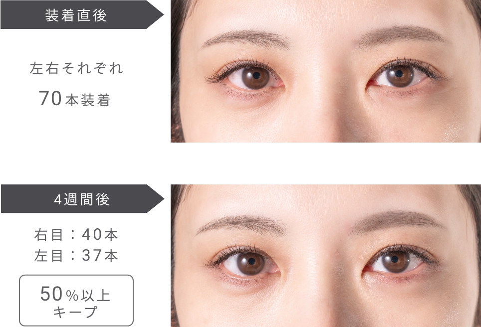 常識を覆す次世代スタンダード! NOMMA GLUE & SUPER LOCK | まつ毛