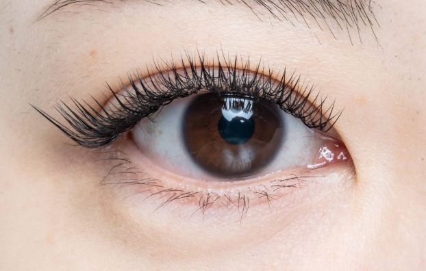 ワンラッシュ one lash】サロンワークに革命をこれひとつで全て完結