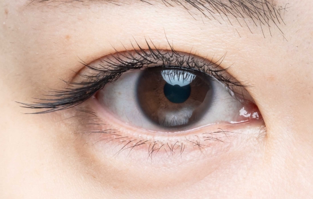 ワンラッシュ one lash】サロンワークに革命をこれひとつで全て完結