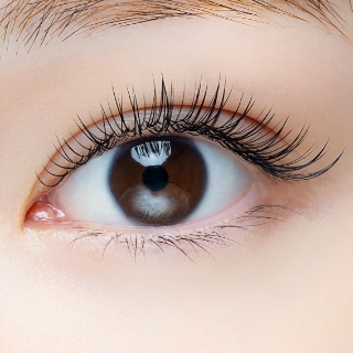 ワンラッシュ one lash】サロンワークに革命をこれひとつで全て完結
